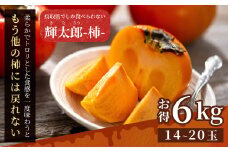 JK-02　大きくて甘い柿「輝太郎（きたろう）」（6kg）【9月下旬～10月上旬から随時発送】