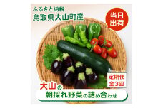 MS-03　新鮮朝採れ野菜　お手頃セット頒布会　（計3回）