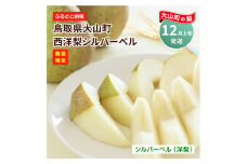 YN-01　鳥取県産洋ナシ　シルバーベル　4kg