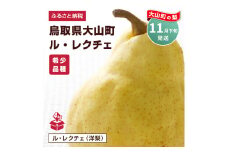 YN-09　鳥取県産洋ナシ ル・レクチェ梨　4kg