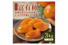 JK-03　富有柿　3kg