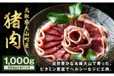 GB-02 猪肉 1kg 250g×4パック 