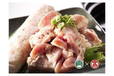 40-F5 　鍋食べ比べコース（大山ブランド会）