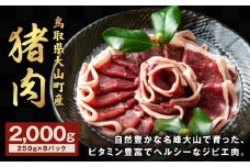 GB-04 猪肉 2kg 250g×8パック 