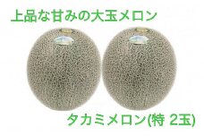 AS-14　貴味（タカミ）メロン（特）　２玉