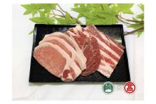 25-F6　大山豚スライスセット（大山ブランド会）   
