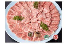 69-AE7　鳥取和牛オレイン55　サーロイン焼肉用 800g（大山ブランド会）