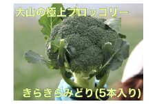 MS-27　大山ブロッコリー「きらきらみどり」5本入り【10月以降発送】
