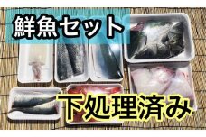 OM-39　みくりや季節の鮮魚セット（下処理済み）
