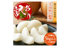 DS-22 訳あり大山町産梨 ５ｋｇ【品種はおまかせ】