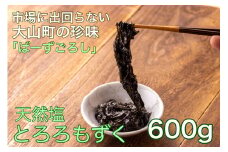 MS-66　市場に出回らない地元みくりや海岸採れ　天然塩とろろもずく （560ｇ）