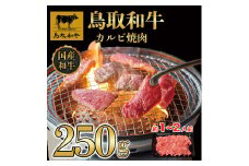 DN-012-004　鳥取和牛焼肉用カルビ250g 