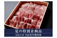 30-C22　大山黒牛焼肉用（大山ブランド会）    