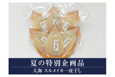 12-N7　境港産　スルメイカ一夜干し（大山ブランド会）