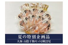30-N8　山陰干物セット2種22尾（大山ブランド会）