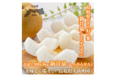 【先行予約】DS-15　新甘泉梨（しんかんせんなし）（３ｋｇ）