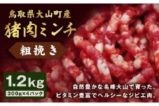 GB-16　猪肉ミンチ（粗挽き）1.2kg（300g×4パック）
