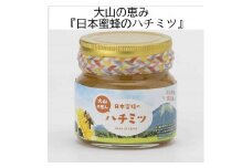 MS-82　大山町産プレミアムはちみつ「日本蜜蜂のはちみつ」（290g×2本）