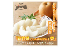 DS-16　【最高等級(赤秀)をお届け】新甘泉梨（しんかんせんなし）（５ｋｇ）
