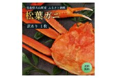 OM-31-2　【年内発送】訳あり足1本折れボイル松葉ガニ（600～700gを1枚）【土日到着限定】
