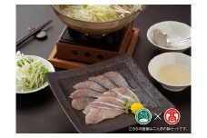 31-BB8　寒鰆のしゃぶしゃぶ（4人前）（大山ブランド会）