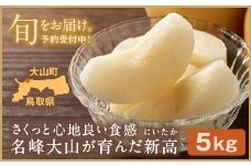 YN-03 鳥取県産和ナシ　新高梨5kg