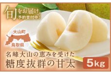 YN-04 鳥取県産和ナシ　甘太梨5kg