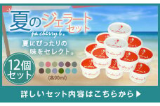 PC-05 pa cherry b.サマーセレクション12種12個セット