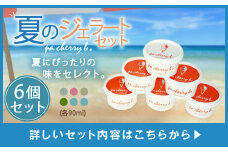 PC-04 pa cherry b.サマーセレクション6種6個セット