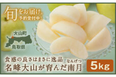 YN-05 南月梨5kg