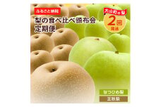 DS-23 梨食べ比べ定期便（2回コース）