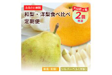 YN-06　和梨・洋梨　食べ比べ　定期便