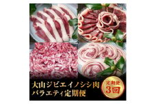 GB-26　大山ジビエイノシシ肉バラエティ定期便（3回コース）