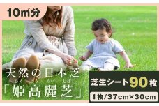 YG-04 天然の日本芝「姫高麗芝」１０平方メートル分BOX