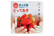 MI-01　【希少品種・鳥取県限定ブランド】とっておき苺　いちご（約500g）【2025年1月以降発送】