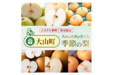 DS-26　大山の自然が育てた季節の梨 5kg