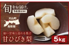 YN-08　甘ひびき梨　5kg