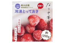 MI-02　【訳あり】冷凍とっておき苺（約1200g）