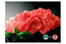 CL12＜鳥取東伯ミート＞鳥取和牛ロース焼肉用（大山ブランド会）
