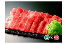 CL14＜鳥取東伯ミート＞鳥取和牛モモ焼肉用（大山ブランド会）
