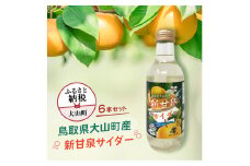 新甘泉サイダー6本セット
