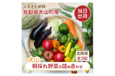 MS-04　新鮮朝採れ野菜セット 頒布会　定期便（計3回）
