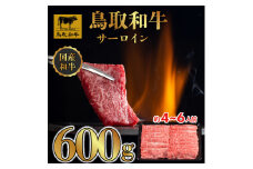 DN0389 鳥取和牛 サーロイン しゃぶしゃぶ・すき焼き 600g（300g×2P）