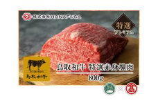 AC19＜HANAFUSA＞プレミアム鳥取和牛特選赤身塊肉（大山ブランド会）