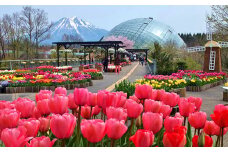 【TH01】とっとり花回廊ギフト入園券２枚