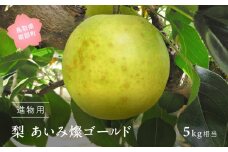 【YA02】あいみ燦ゴールド [梨]（進物用5kg箱）2025年8月下旬～9月上旬出荷予定＜数量限定＞　二十世紀梨、無袋栽培