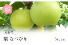【YA01】なつひめ [梨]（進物用5kg箱）2025年8月中旬出荷予定＜数量限定＞