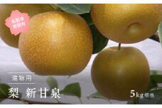 【YA03】新甘泉［梨］（進物用5kg箱）2025年8月下旬～9月上旬出荷予定＜数量限定＞