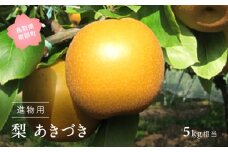 【YA05】あきづき［梨］（進物用5kg箱）2025年9月出荷予定＜数量限定＞