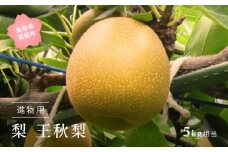 【YA08】王秋梨（進物用5kg箱） 2025年10月下旬出荷予定＜数量限定＞